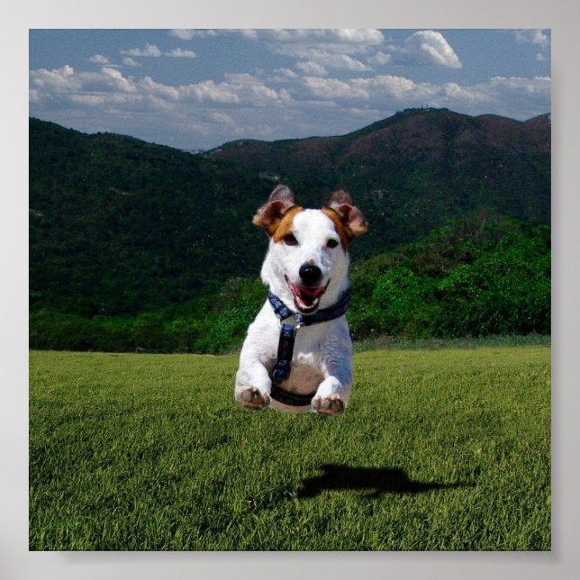 Poster Dog Running Free - Ajouter Votre Propre Texte (Devant)
