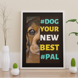 Poster #Dog, votre nouveau meilleur #Pal...Beagle