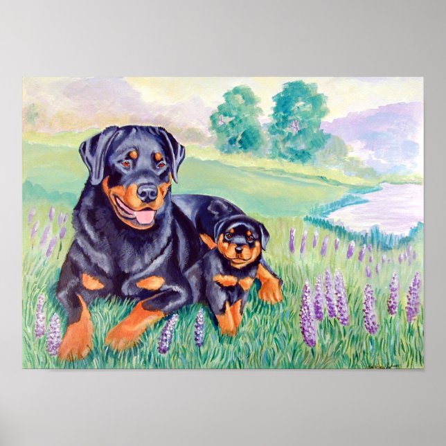 Poster Dog Wall Rottweiler (Devant)
