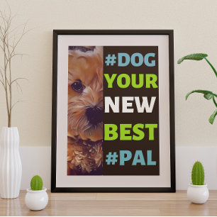 Poster #Dog, your New Best #Pal ...Cavapoo