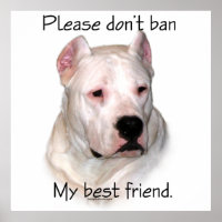 Dogo BSL - S'il vous plaît n'interdisez pas mon me