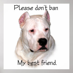 Poster Dogo BSL - S'il vous plaît n'interdisez pas mon me