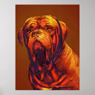 Poster dogue de bordeaux