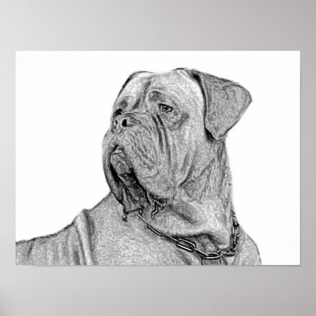 Poster Dogue de Bordeaux (Vorne)