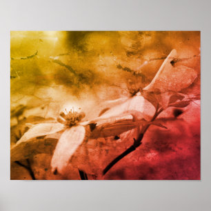 Poster Dogwood Fleur Noir Et Blanc Vintage