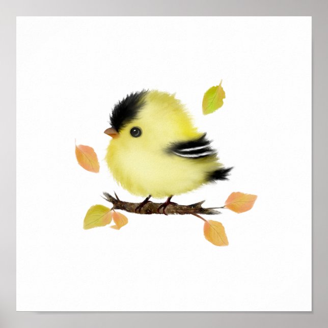 Poster d'oiseau Goldfinch (Devant)