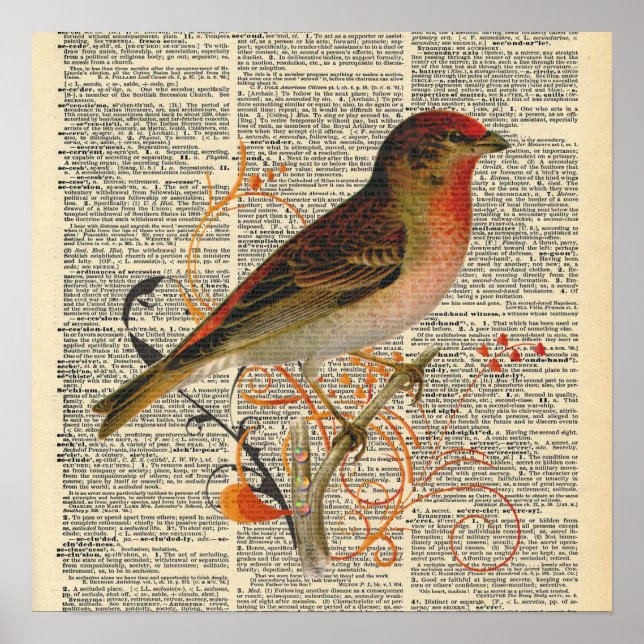 Poster d'oiseaux du dictionnaire vintage (Devant)