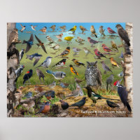 Poster d'oiseaux jardins du Dakota du Nord