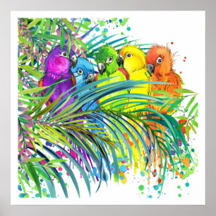 Poster d'oiseaux tropicaux