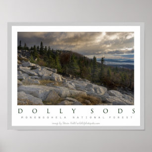 Poster Dolly Sods Wilderness Area Virginie-Occidentale