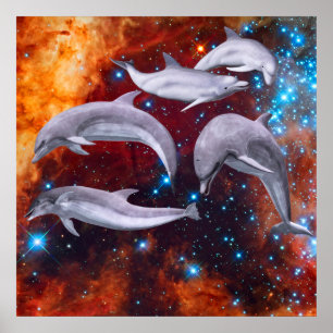 Poster Dolphins étoilés
