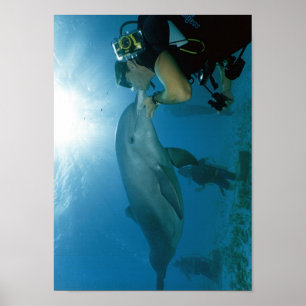 Poster Dolphins Kiss