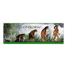 POSTER D'OLUTION D'EVE