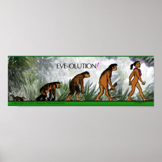 POSTER D'OLUTION D'EVE