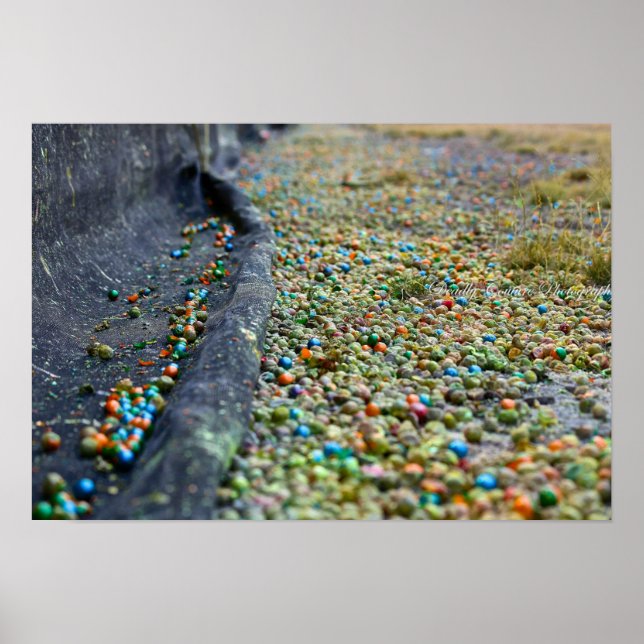 Poster Domaine des rêves (Devant)