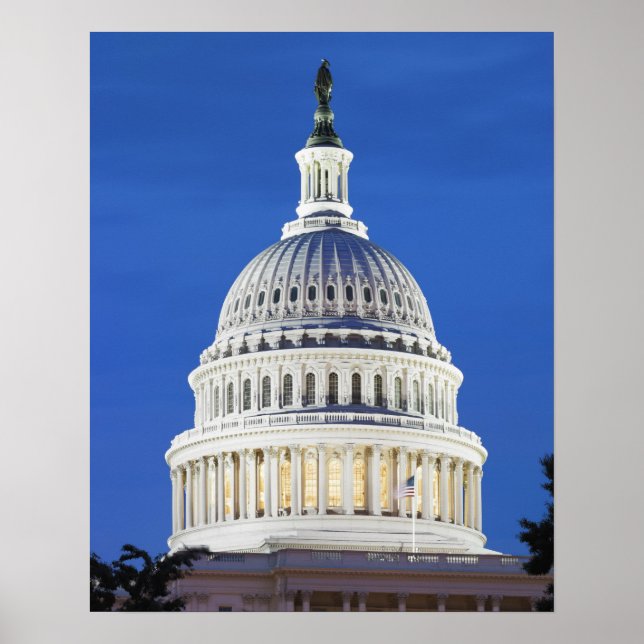 Poster Dôme du Capitol américain (Devant)