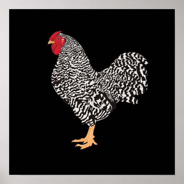 Poster Dominique Rooster (Devant)