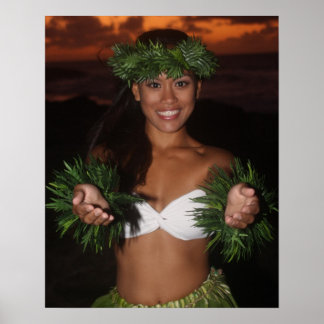 Poster Don d'Aloha