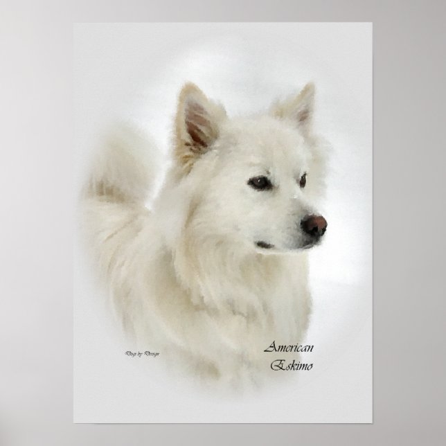 Poster Don d'art Eskimo Chien américain (Devant)