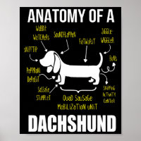 Don de chien | Anatomie De Dachshund