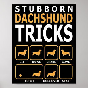 Poster Don de chien   Tucs Dachshund têtus