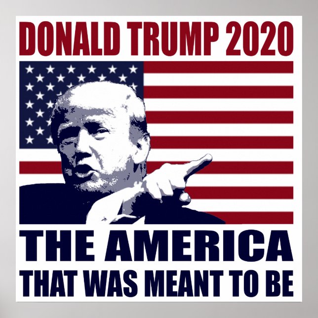 Poster Donald Trump 2020 pour l'élection présidentielle 2 (Devant)