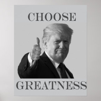 Poster Donald Trump choisit la grandeur