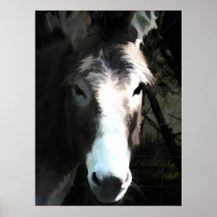 POSTER DONKEY