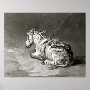 Poster Donkey au repos