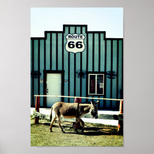 Poster Donkey Town Oatman Arizona