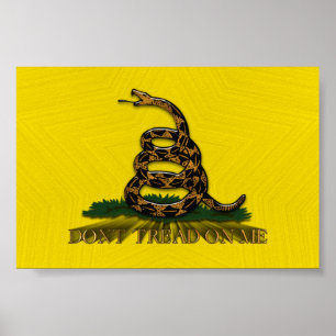Poster Dont Tread On Me