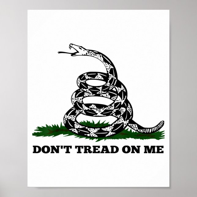 Poster Don't Tread On Me 2nd Amendment Patriotic New Nove (Devant)