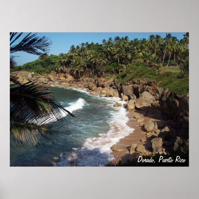 Poster Dorado, Porto Rico (Devant)