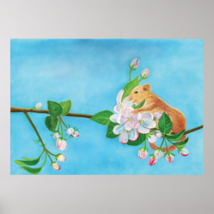 Poster Dortoir commun sur branche en fleurs de pommier