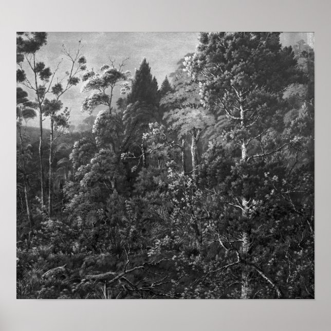 Poster Dossier : Alfred Sharpe - Un eve d'or, Waiheke Isl (Devant)