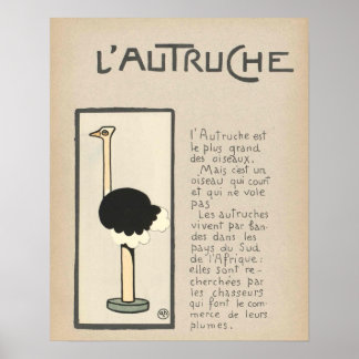 Poster d'Ostrich