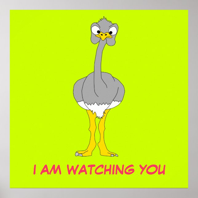 Poster d'Ostrich (Devant)