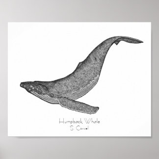 Poster Dotwork de baleines à bosse
