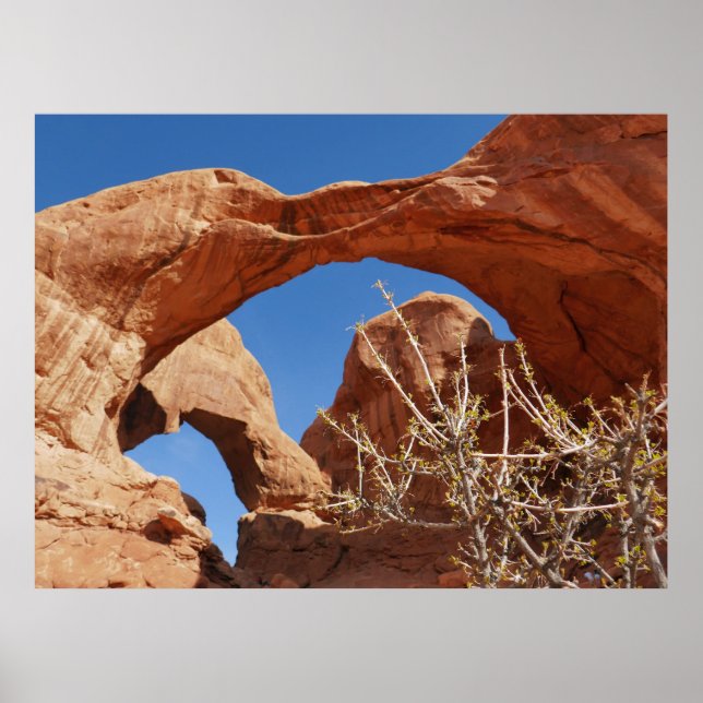 Poster Double arc au Parc national des Arches (Devant)