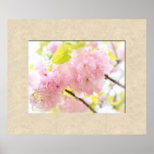 Poster Double Cherry Blossom: Benitemari