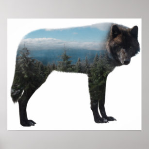 Poster Double exposition de la forêt de loup