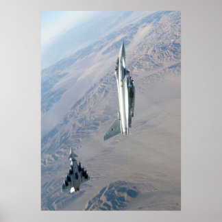 Poster Double problème