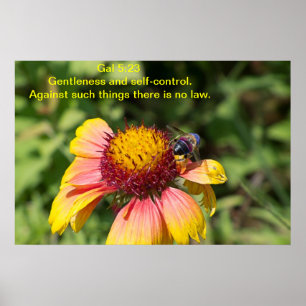Poster Douceur et maîtrise de soi