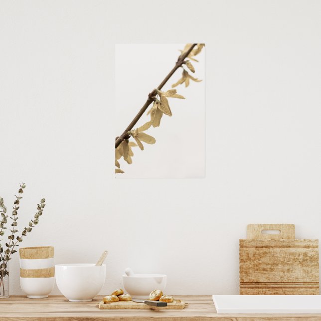 Poster Douches de printemps sur l'affiche des fleurs de F (Cuisine)