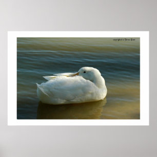 Poster Doux en blanc