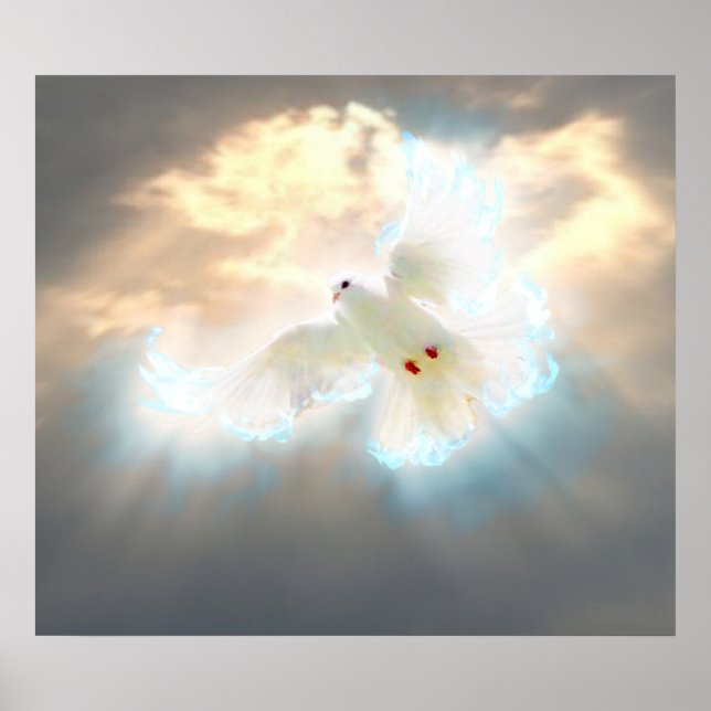 Poster Dove (Devant)