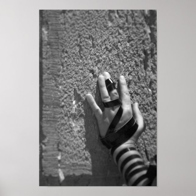 Poster Doven dans le Kotel (Devant)