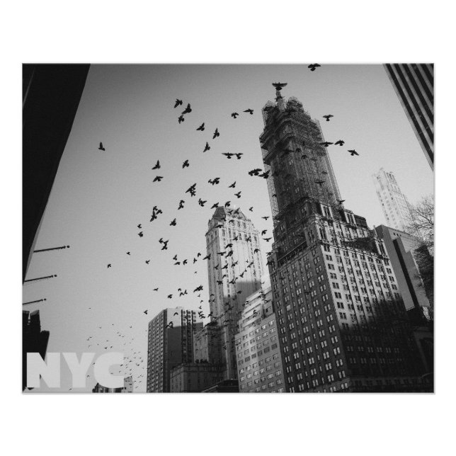 Poster Doves over Manhattan (Devant)