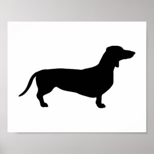 Poster Doxie