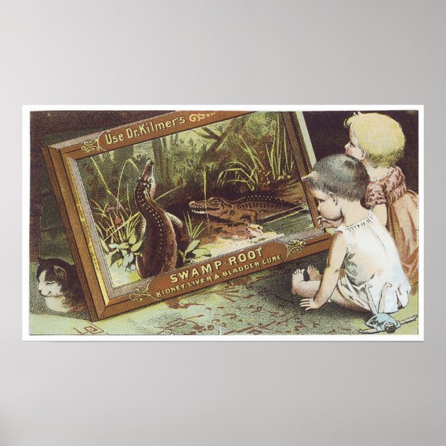 Poster Dr Kilmers Racine du marais (Devant)